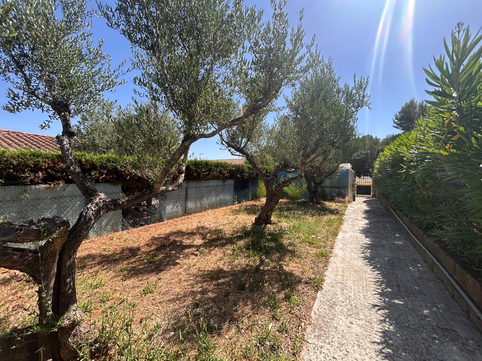 jardin-chalet